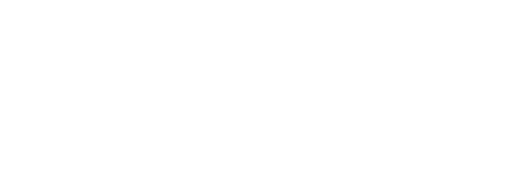 ngo academy logo white rgb rz